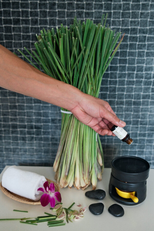 ESSENTIAL OIL / AROMA BURNER